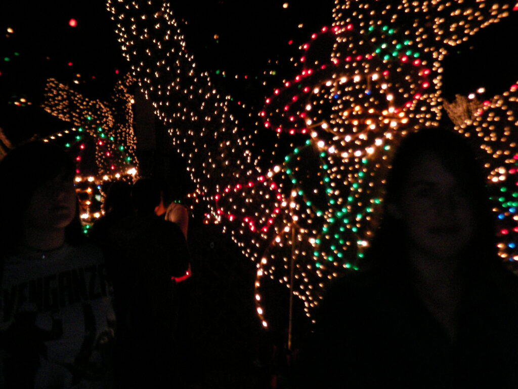 Forest City Holiday Lights